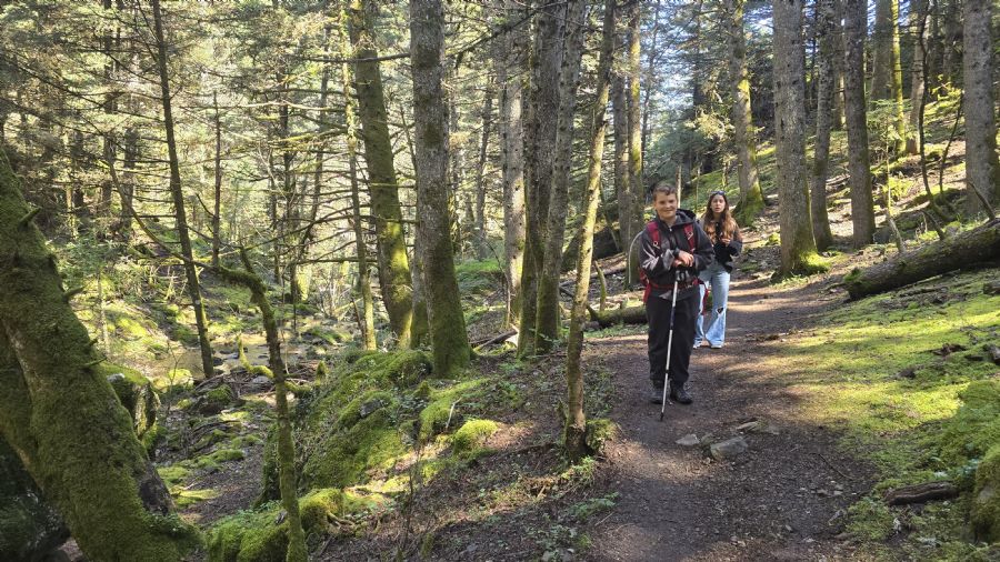 טרק המנליון